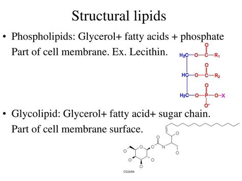 Ppt Types Of Organic Compounds Powerpoint Presentation