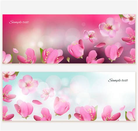 beautiful cherry blossom banner vector background  vector