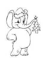 Christmas Coloring Elephant Pages Animal Ws sketch template