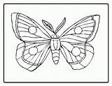 Coloring Caterpillar Pages Butterfly Hungry Carle Eric Printable Very Drawing Color Simple Cocoon Kids Clipart Sheet Flower Book Sheets Drawings sketch template