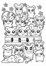 Hamtaro Coloring Pages Series Tv Picgifs sketch template