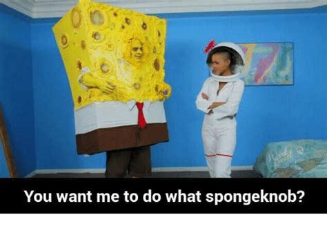 25 Best Memes About Spongeknob Spongeknob Memes