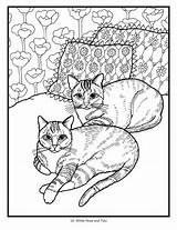 Coloring Cats Mimi Olsen Vang Book sketch template