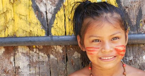 stock video of cute native brazilian girl looking to 11648828 shutterstock