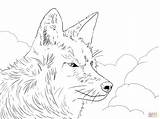 Coyote Coloring Pages Wolf Moon Howling Head Printable Easy Drawing Color Animals Opress Savage Desert Real Print Getdrawings Colouring Getcolorings sketch template
