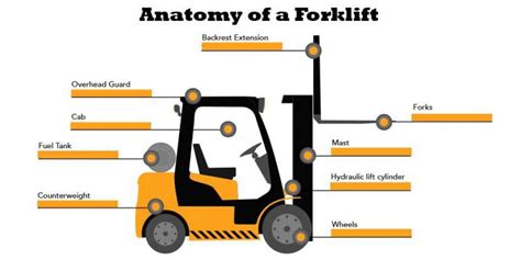 anatomy   forklift truck  forklift pro