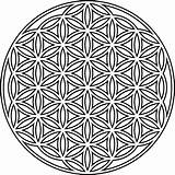 Blume Lebens Vie Sacred Geometry Vorlage Arbre Schablone Mandalas Grids Circle Webstockreview Nicepng sketch template