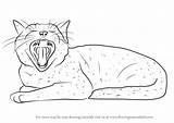 Yawning Draw Cat Drawing Step Cats sketch template