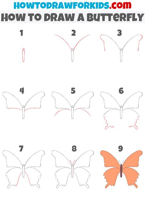 butterfly drawing step  step   draw  butterfly easy