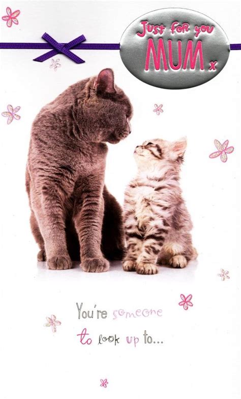 cat kitten mum happy mothers day card cards