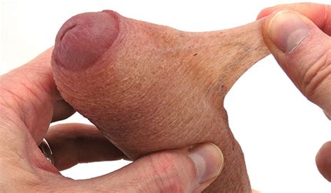 buy prosthetic penis milf nude photo