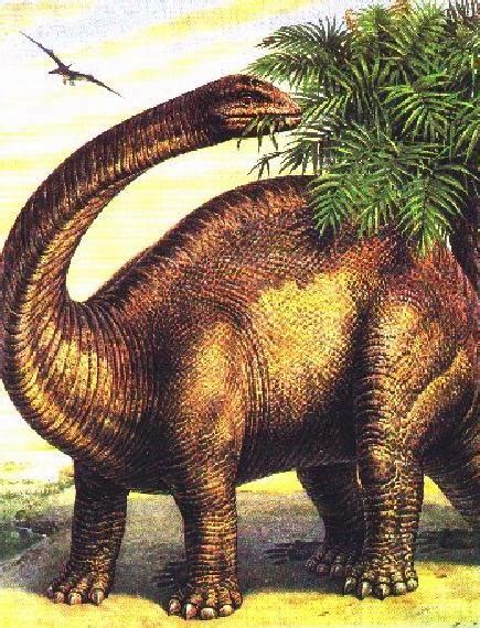 gambar dinosaurus dunia binatang