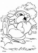 Thumper Bambi Coloring Pages Drawing Disney Color Print Hellokids sketch template