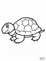 Coloring Tortoise Pages Cute Book Color Printable Turtle Drawing Kids sketch template