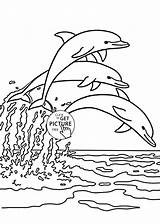 Dolphin Coloring Pages Splash Jumping Dolphins Kids Animal Drawing Fish Sea Printable Line Color Adults Jump Colouring Print Silhouette Getdrawings sketch template