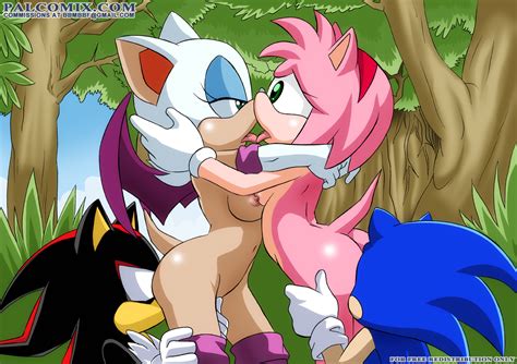 image 357891 amy rose palcomix rouge the bat shadow the hedgehog sonic team sonic the hedgehog