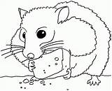 Hamster Coloring Print Color Pages Popular sketch template