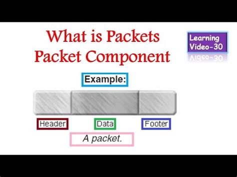 packets packet components youtube