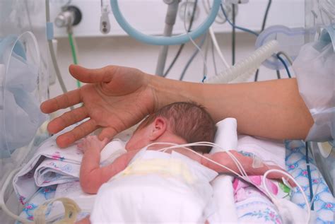 Ali Ghaharys Blogspot Preterm Labour Premature Birth