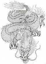 Dragon Japanese Drawing Tattoo Line Sketch Tattoos Sketches Drawings Dragons Chinese Designs Traditional Deviantart Cool Paintingvalley Meaning Concept Asian Japan sketch template
