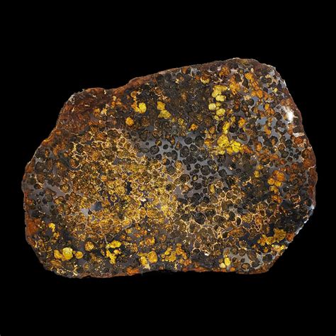 pallasite meteorite slice   meteorites touch  modern