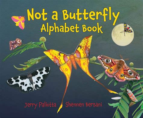 butterfly alphabet book   time moths    book