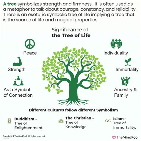 tree  life meaning      symbolism themindfool