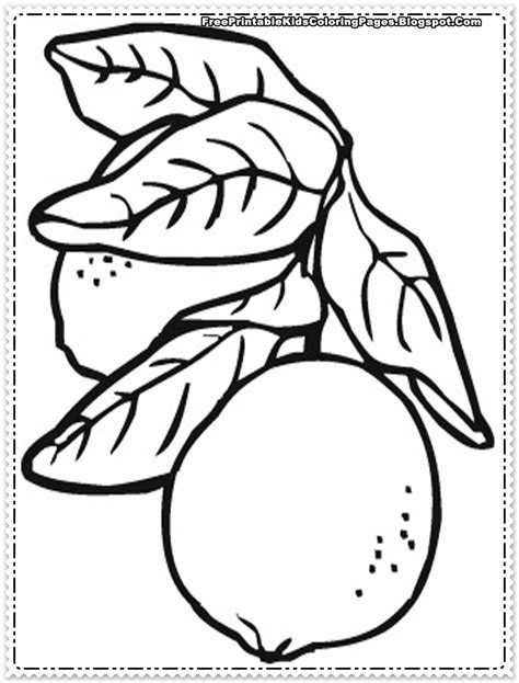 orange fruit printable coloring pages  printable kids coloring pages