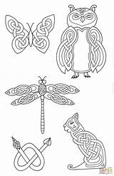 Celtic Coloring Designs Animals Patterns Pages Animal Knots Knot Printable Tattoo Symbols Dragon Pyrography Wood Flickr Carving Zoomorphic Drawing Bibliodyssey sketch template