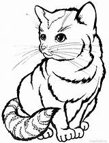 Katzen Ausmalbilder Malvorlagen Drucken Kostenlose Kinderbilder Malvorlage Gatitos sketch template