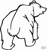 Bear Grizzly Coloring Pages Bears Outline Clipart Angry Cubs Printable Clipartbest Looks Supercoloring Color Drawings Cliparts Categories sketch template