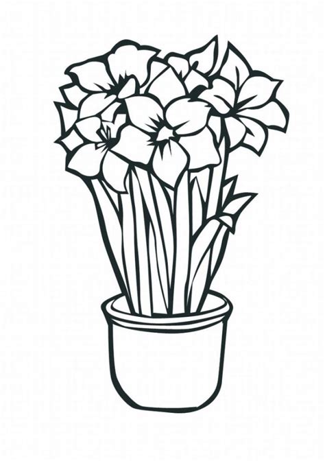 tropical flowers coloring pages coloring home