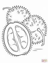 Dodgers Durian Emblem sketch template