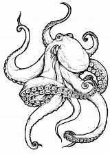 Octopus Drawing Kraken Tattoo Realistic Drawings Dessin Outline Tentacles Beautiful Tattoos Leather Poulpe Pieuvre Sketch Draw Designs Baby Sketches Coloring sketch template