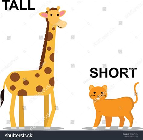 tall  short animals immagini foto stock  grafica vettoriale