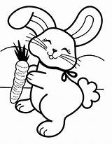 Rabbit Coloring Kids Pages Children Color Funny sketch template