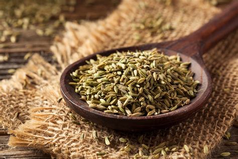 anise seed benefits     oil extract tea selfdecode supplements