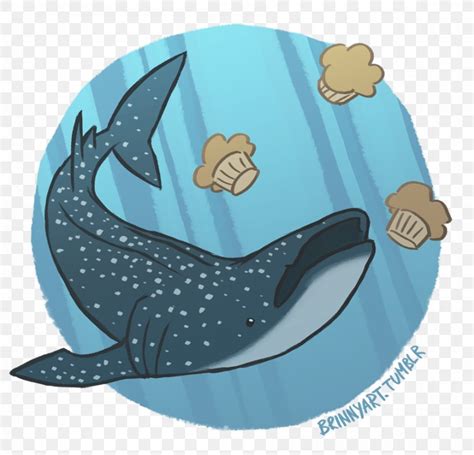 whale shark drawing animal png xpx shark animal blue whale cartoon cetacea
