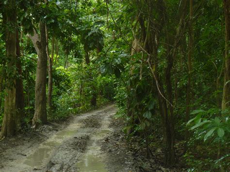 photo du mois promenons nous dans les bois viviane voyage