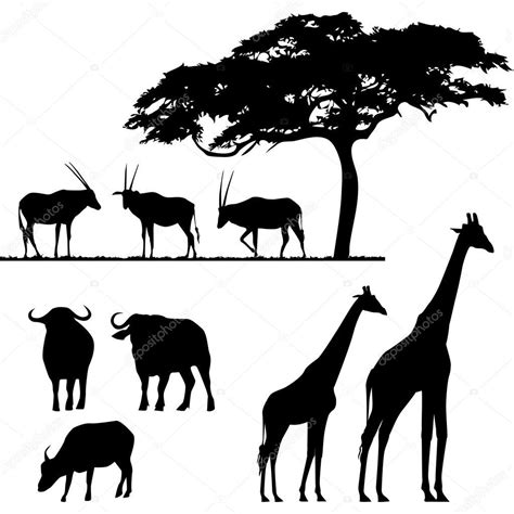 image de dessin facile dessin animaux vectoriel