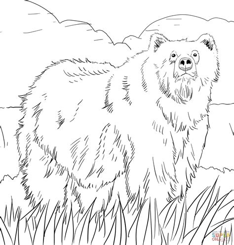 alaskan grizzly bear coloring  super coloring