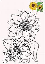 Sunflower Coloring Pages Sunflowers Magic Patterns Flower Painting Flowers Printables Plants Pattern Drawing Adults Embroidery sketch template