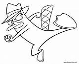 Perry Platypus Ferb Phineas sketch template