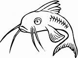 Catfish Coloring Super Clipart Clipartbest sketch template