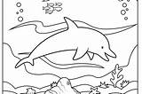 Coloring Pages Dolphin Underwater Drawing Ocean Fish Print Printable Habitat Getdrawings Getcolorings Dolphins Spinner Color sketch template