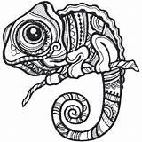 Camaleon Chameleon Zentangle Embroideryonline 열기 sketch template