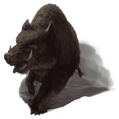 boar creatures pathfinder  nexus