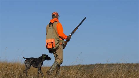 pick   shotgun  duck hunting howcast