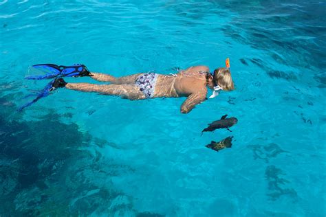 tips voor snorkelen op curacao duikeninbeeld