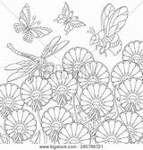 Coloring Colouring Dragonfly Butterfly Flower Zentangle Lightbox Create sketch template